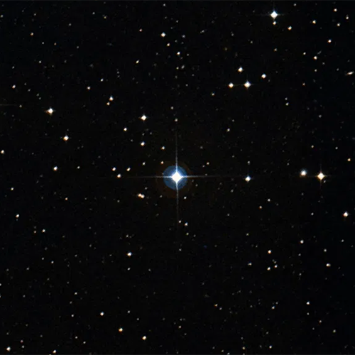 Rarely Observed Star Dance